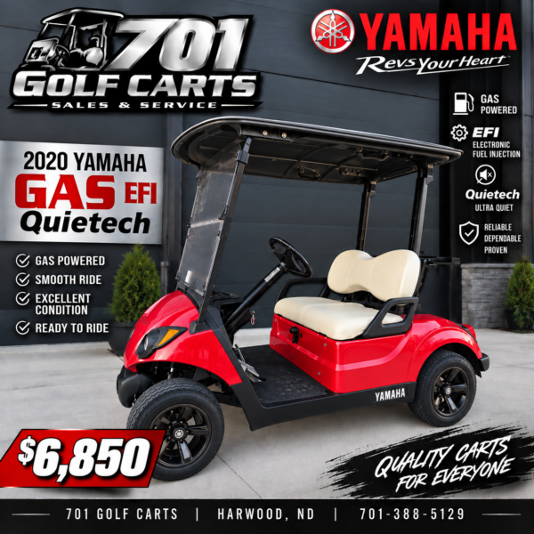 2020 Yamaha Drive2 EFI QuieTech
