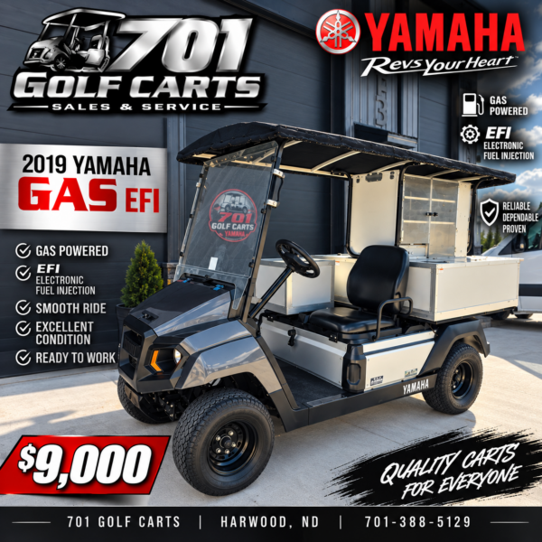 2019 Yamaha EFI UMAX Bistro